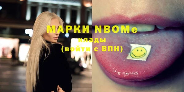 молекула духа Бородино