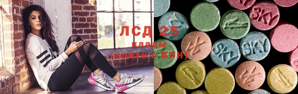 молекула духа Бородино